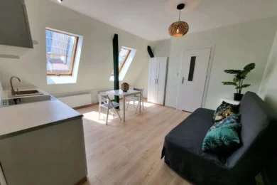 Wohnung im Zentrum Poznan